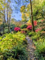 Autumn Equinox Retreat Day - Image 6