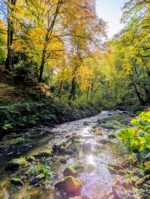 Autumn Equinox Retreat Day - Image 7