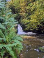 Autumn Equinox Retreat Day - Image 2