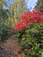 Autumn Equinox Retreat Day