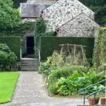 January Reset Yoga Retreat - Anglesey - Image 2