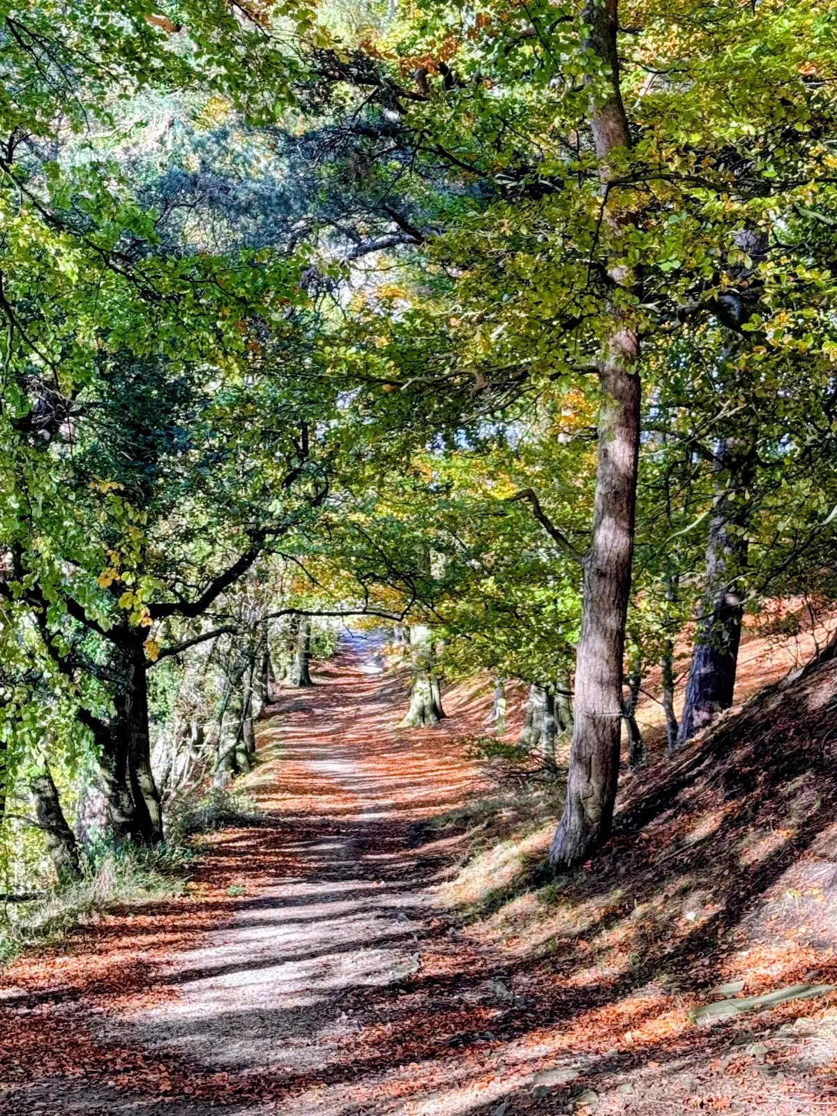 Peak District Spring Wellness Retreat - Image 8