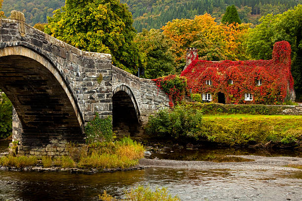 Snowdonia Autumn Wellness Retreat - Image 14