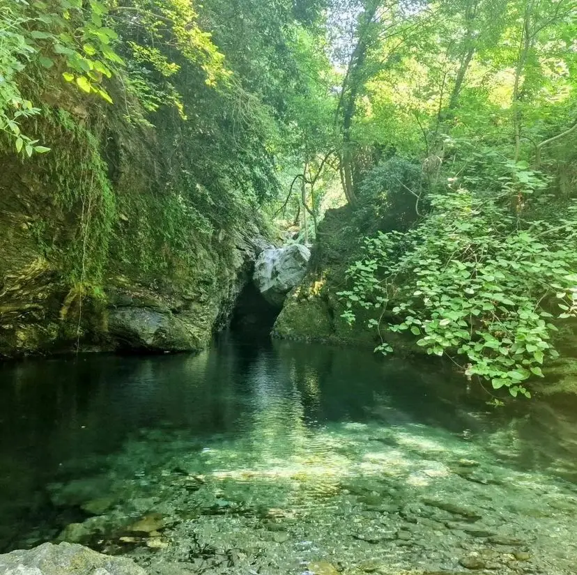 Between Mountain & Sea - Yoga Retreat in Pelion, Greece - Image 19