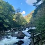 Snowdonia Autumn Wellness Retreat - Image 13