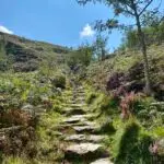 Snowdonia Autumn Wellness Retreat - Image 14