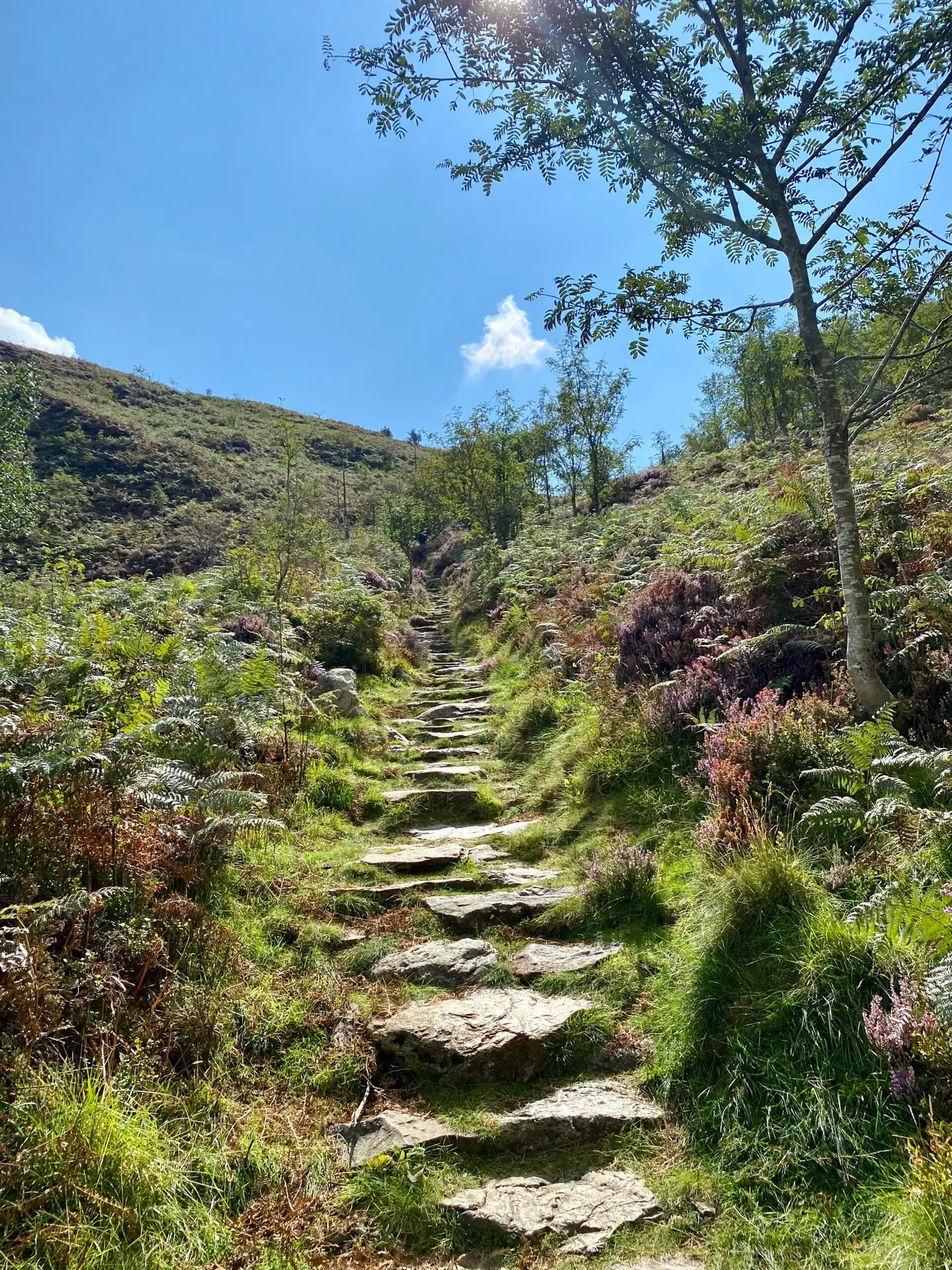 Snowdonia Autumn Wellness Retreat - Image 15