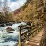Snowdonia Autumn Wellness Retreat - Image 4