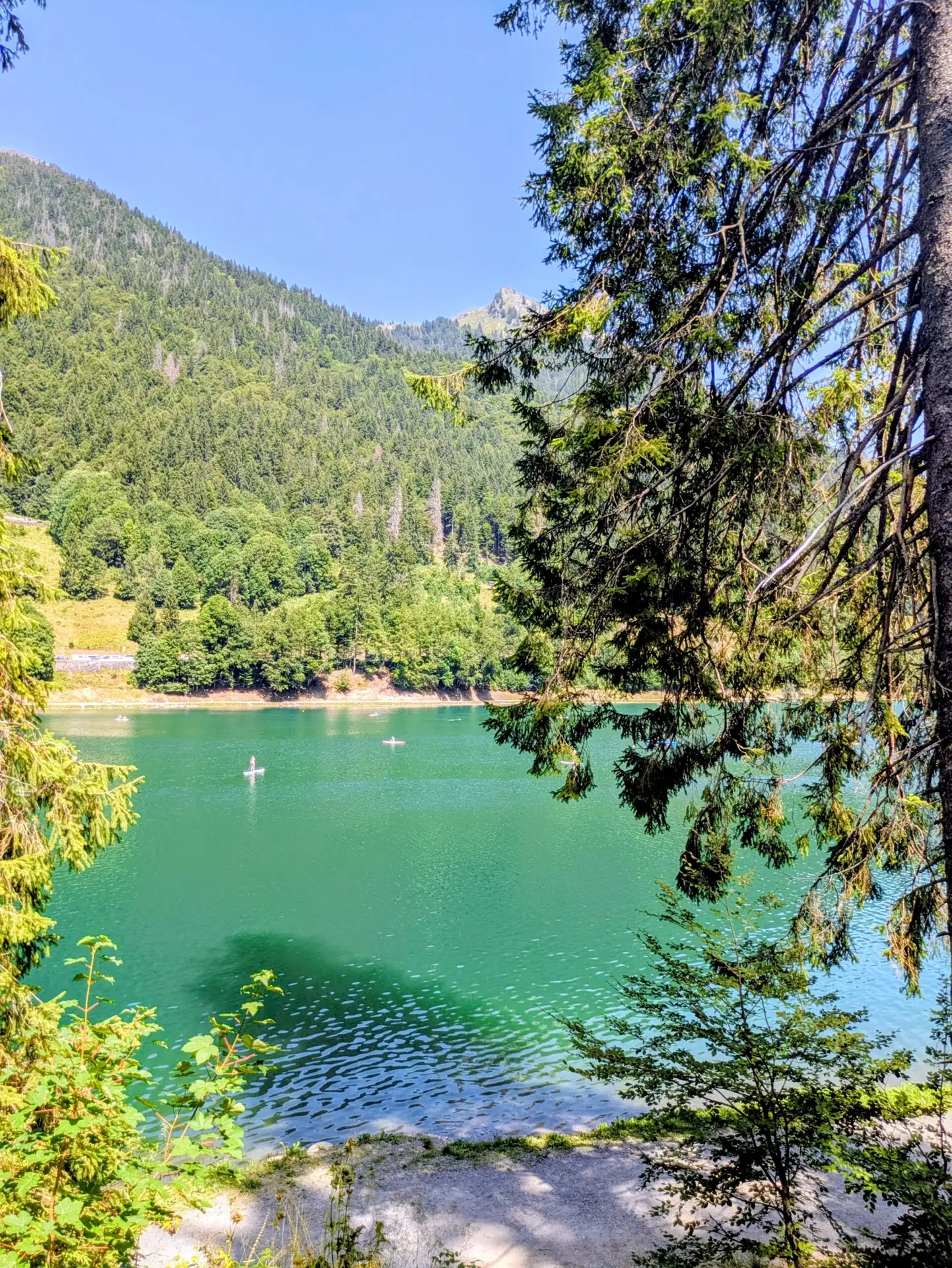 French Alps Yoga & Wellness Holiday - Image 7