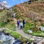 January Reset Yoga Retreat - Anglesey - Image 3