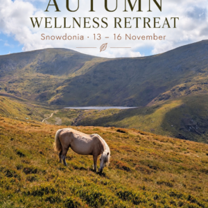 Snowdonia Autumn Wellness Retreat
