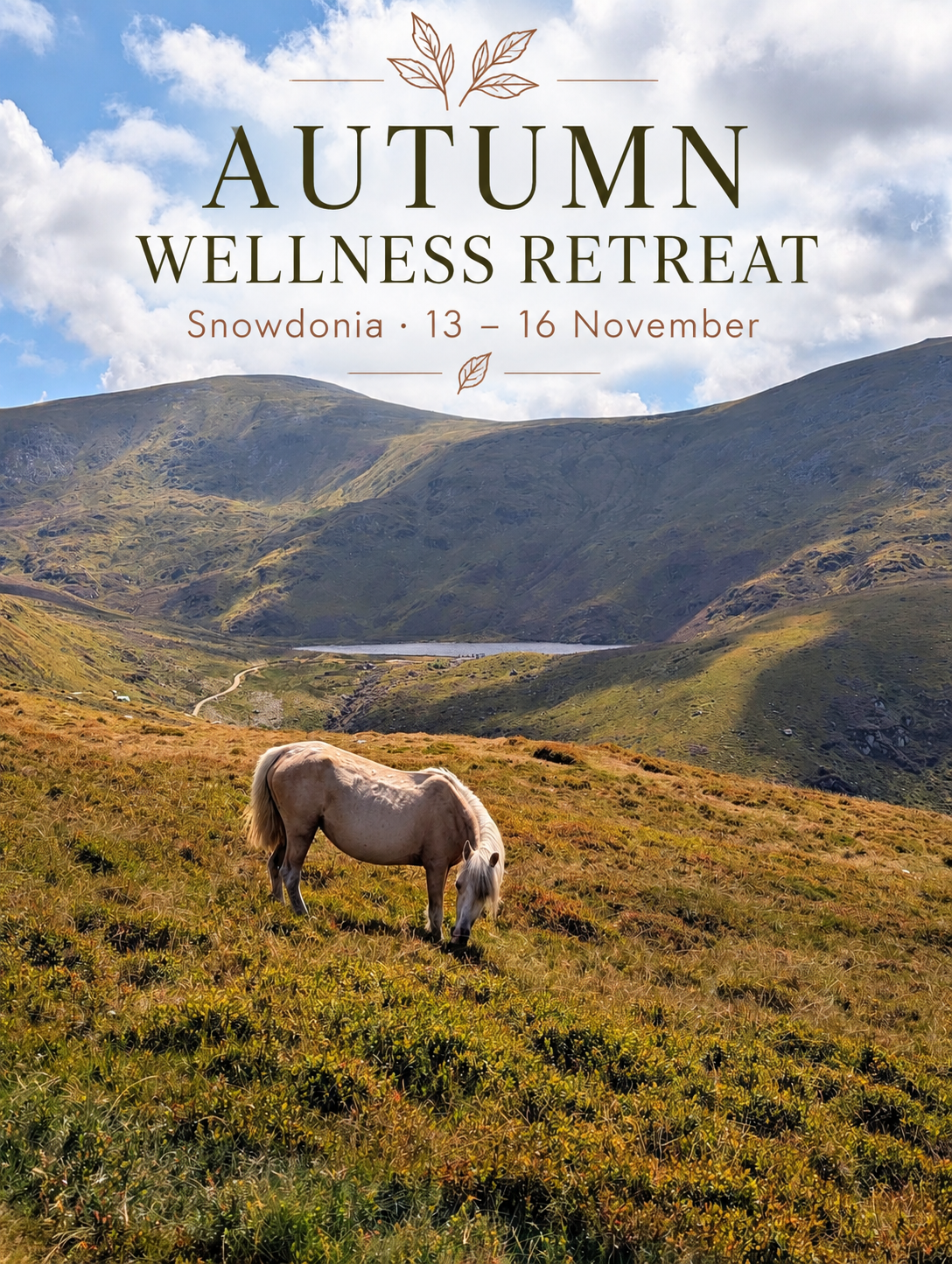 Snowdonia Autumn Wellness Retreat