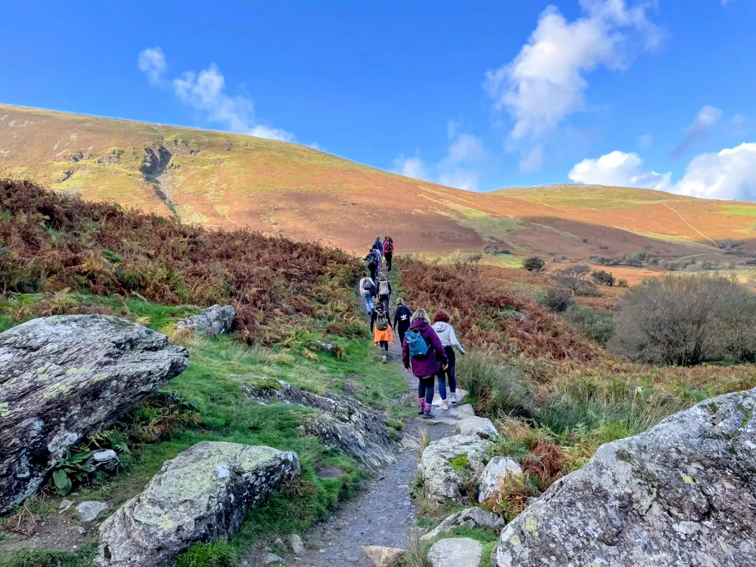 Snowdonia Autumn Wellness Retreat - Image 11