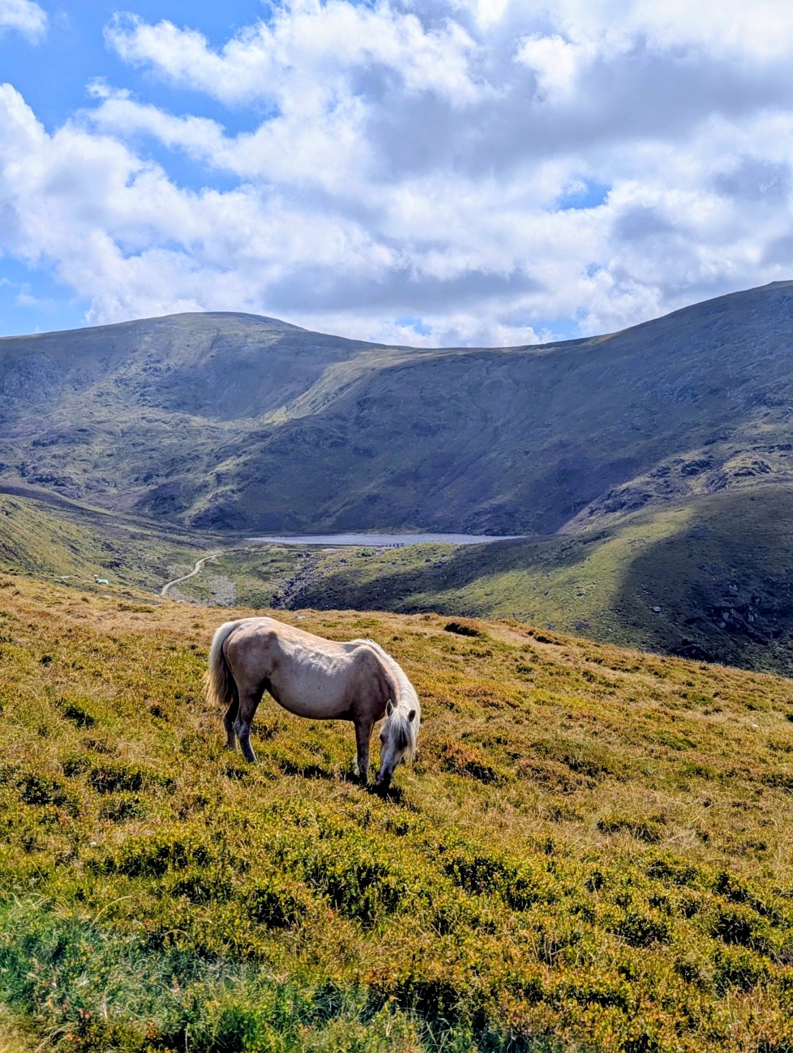 Snowdonia Autumn Wellness Retreat - Image 3