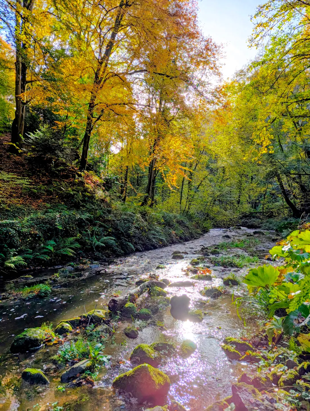 Winter Wellness Retreat Day - Image 8